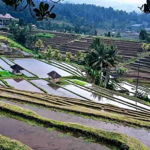 Desa di Indonesia