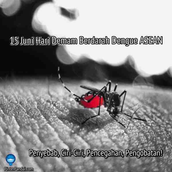15 Juni Demam berdarah dengue ASEAN