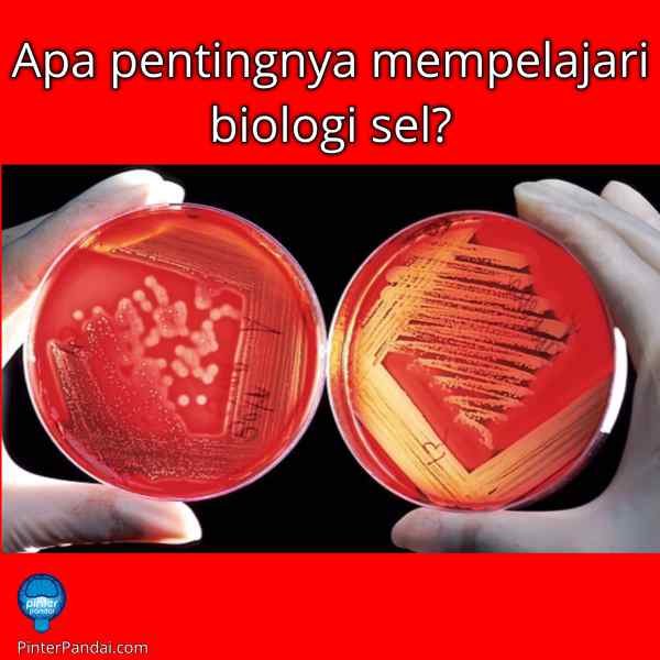 biologi sel