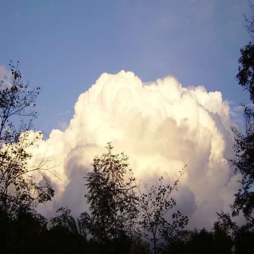 Jenis awan kumulus