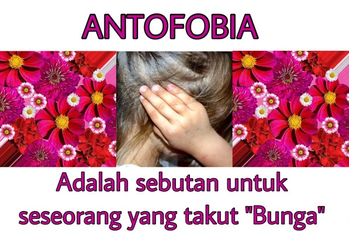 Antofobia takut bunga