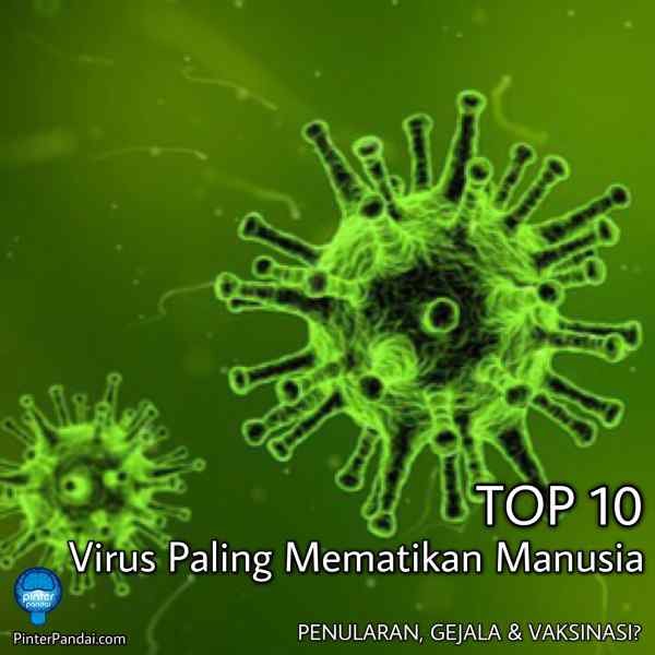 TOP 10 Virus paling mematikan manusia
