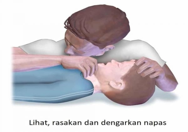 cpr untuk orang dewasa