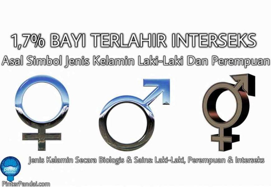 Asal Simbol Jenis Kelamin Laki Laki  Dan Perempuan Jenis  