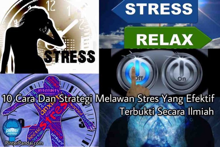 10 Cara Dan Strategi Melawan Stres Yang Efektif - Secara Ilmiah