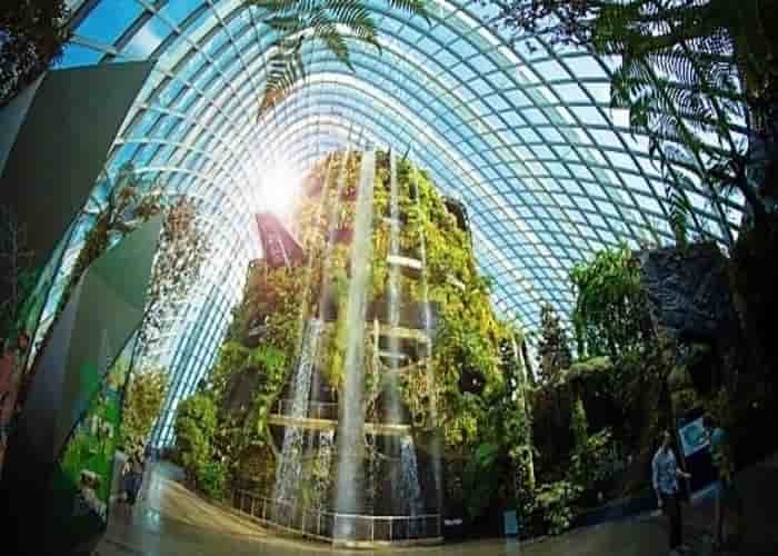 Cloud forest - Singapura