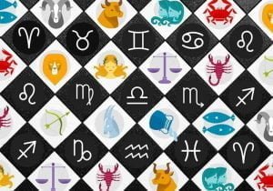 Hewan Peliharaan Sesuai Zodiak