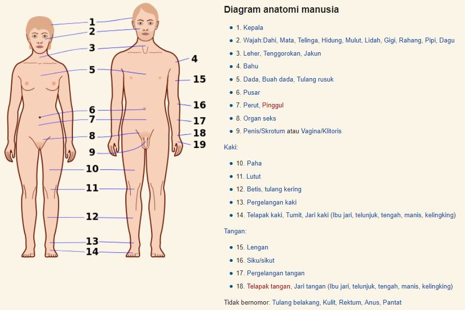 Diagram organ tubuh manusia