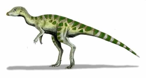 Dinosaurus leaellynasaura