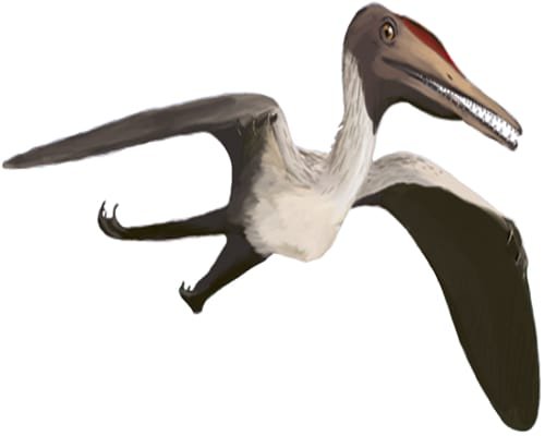 Dinosaurus pterodactylus