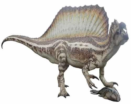 Dinosaurus spinosaurus