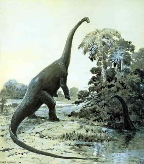 Jenis dinosaurus diplodocus