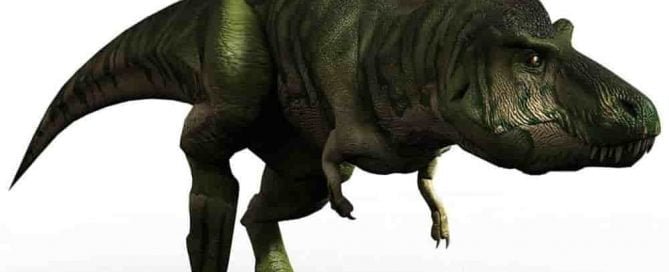 Jenis dinosaurus Tyrannosaurus rex trex
