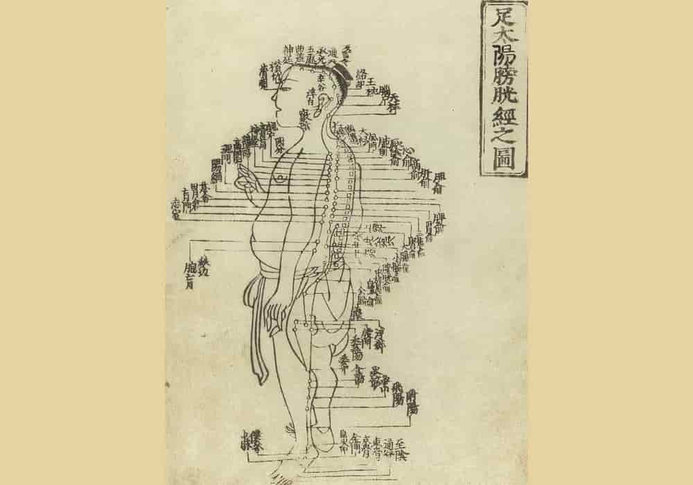 Grafik akupunktur dari Shisi jing fahui - Ekspresi dari 14 Meridian