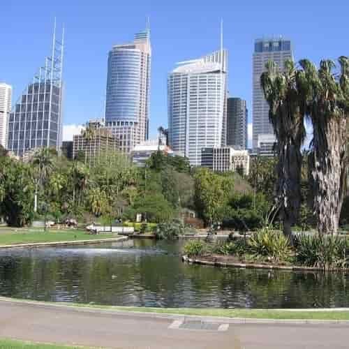 Royal botanic gardens Sydney