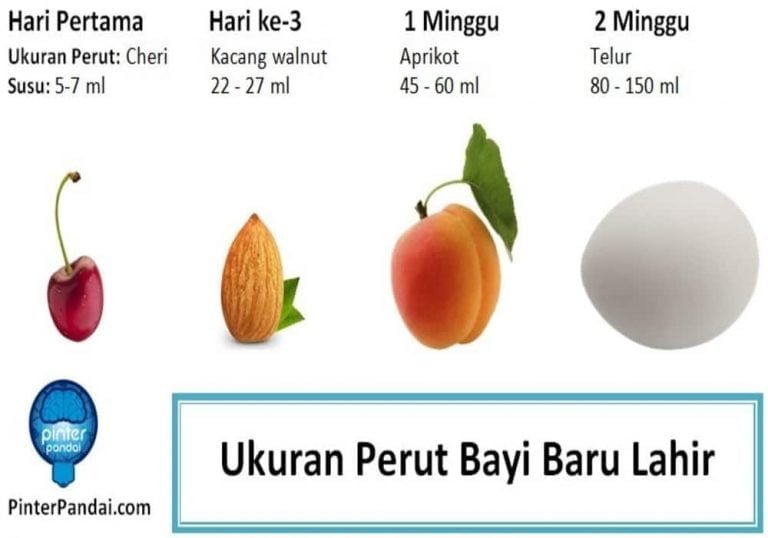 Berapa Kali Bayi Minum Susu Formula? Jumlah, Takaran, Jam