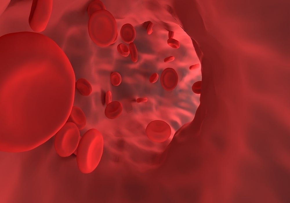 Hemoglobin darah